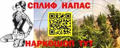 альфа пвп Севастополь