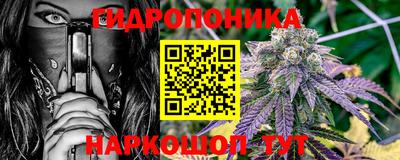 apvp Свободный