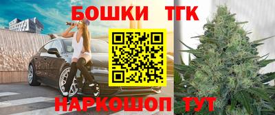 мдпв Славгород