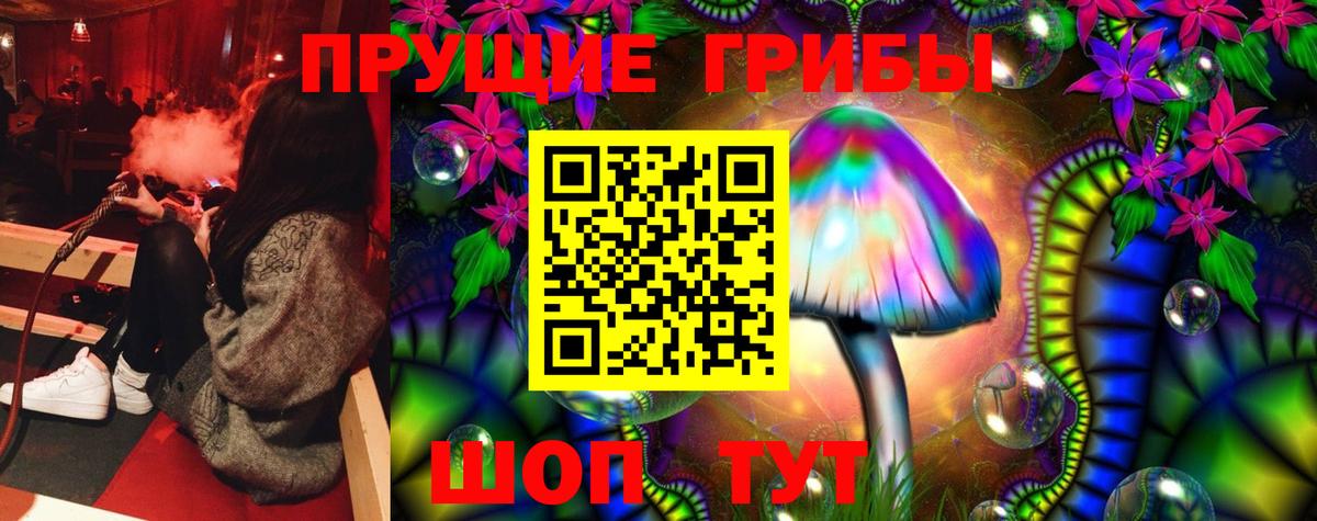 Галлюциногенные грибы Magic Shrooms  Вход с VPN  Пенза  Псилоцибиновые грибы Cubensis 